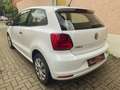 Volkswagen Polo V Trendline, 2. Besitz, Klima, Euro 6!! Wit - thumbnail 4