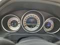 Mercedes-Benz E 300 Aut. BlueTEC AVANTGARDE/Leder/Navi/AHK/LED Bleu - thumbnail 9
