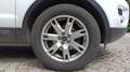 Land Rover 2.2 TD4 150 4WD BVA6 Prestige Білий - thumbnail 16