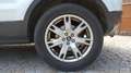 Land Rover 2.2 TD4 150 4WD BVA6 Prestige Білий - thumbnail 19
