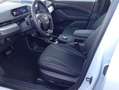 Ford Mustang Mach-E Weiß - thumbnail 11