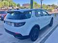 Land Rover Discovery Sport 2.0Si4 MHEV Standard AWD Auto Wit - thumbnail 17