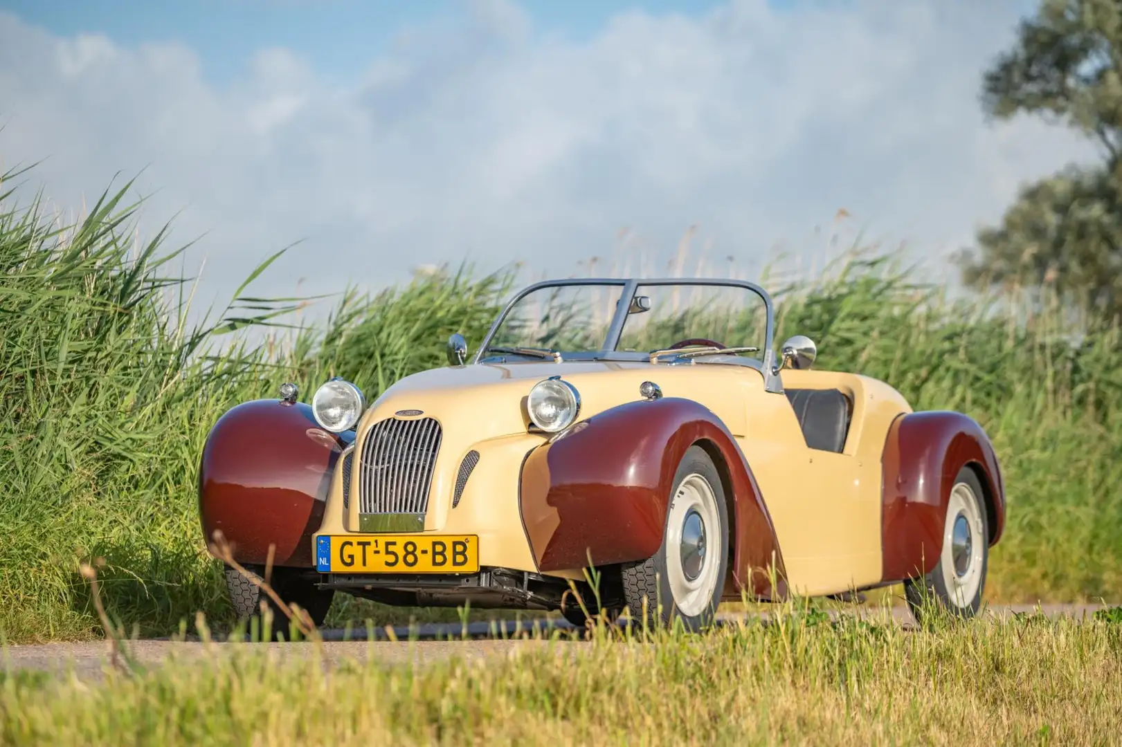 Citroen 2CV Burton Marrone - 1