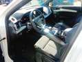 Audi 50 Sportback TFSIe S line quattro-ultra S tronic Weiß - thumbnail 4