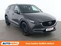 Mazda CX-5 2.2 Turbodiesel Attraction 2WD Grau - thumbnail 8