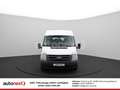Ford Transit FT 300 L *9-Sitze* AHK+STANDHEIZUNG (5520) White - thumbnail 4