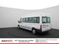 Ford Transit FT 300 L *9-Sitze* AHK+STANDHEIZUNG (5520) White - thumbnail 7