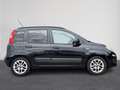 Fiat Panda 0.9 TwinAir Lounge | Airco | Elektrische ramen voo Zwart - thumbnail 5