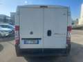 Fiat Ducato 2.3 MJT 120CV Bianco - thumbnail 3