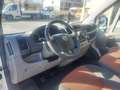 Fiat Ducato 2.3 MJT 120CV Bianco - thumbnail 8