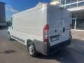 Fiat Ducato 2.3 MJT 120CV Bianco - thumbnail 5