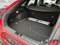 Kia ProCeed / pro_cee'd 1.4 T-GDI GT-Line +Glasdach+Navi+Leder+Technologie Rouge - thumbnail 10
