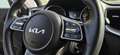 Kia Ceed SW / cee'd SW Ceed SW 1,6 CRDi Silber 48V 1.Besitz Kamera Navi Schwarz - thumbnail 9