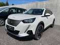 Peugeot 2008 Elektro Allure Pack 50 kWh Blanc - thumbnail 1