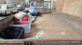 Toyota Dyna Dyna 250 (BU84L) MDDTW 6.2 - Moteur 11B Rosso - thumbnail 14