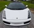 Lamborghini Gallardo Spyder 5.0i V10 40v Weiß - thumbnail 6