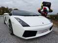 Lamborghini Gallardo Spyder 5.0i V10 40v Weiß - thumbnail 17