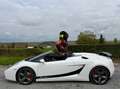 Lamborghini Gallardo Spyder 5.0i V10 40v Weiß - thumbnail 16