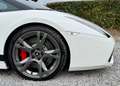 Lamborghini Gallardo Spyder 5.0i V10 40v Weiß - thumbnail 24