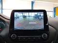 Ford Puma 1.0 EcoBoost Aut. TITANIUM X *Kamera* Blanc - thumbnail 20