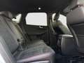 Ford Kuga 2.0 EcoBlue Aut. ST-Line X ACC|LED|B&O|19" Blanco - thumbnail 21
