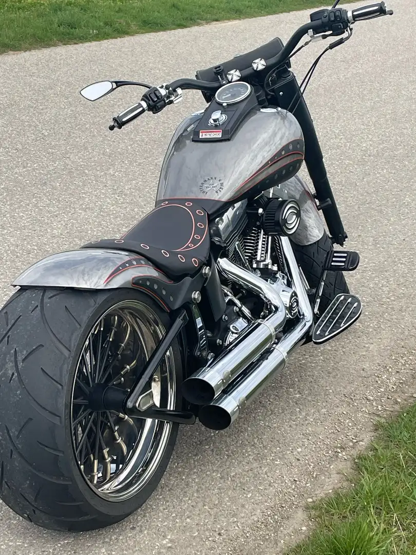 Harley-Davidson Fat Boy FLSTN Gris - 2
