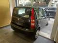 Fiat Panda 1.2 Dynamic 69cv EURO 5 - NEOPATENTATI!!! Nero - thumbnail 6