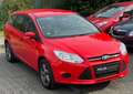 Ford Focus Kombi 94.000 km Anhängerkupplung 8-fach bereift Rot - thumbnail 14