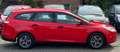 Ford Focus Kombi 94.000 km Anhängerkupplung 8-fach bereift Rot - thumbnail 9