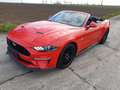 Ford Mustang Convertible 5.0 Ti-VCT V8 Aut. GT Premium Rot - thumbnail 1