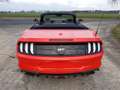 Ford Mustang Convertible 5.0 Ti-VCT V8 Aut. GT Premium Rojo - thumbnail 9