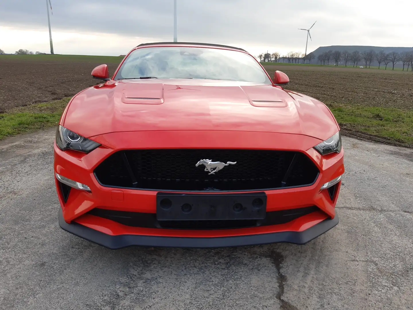 Ford Mustang Convertible 5.0 Ti-VCT V8 Aut. GT Premium Rot - 2