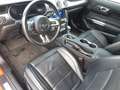 Ford Mustang Convertible 5.0 Ti-VCT V8 Aut. GT Premium Rojo - thumbnail 13