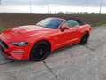 Ford Mustang Convertible 5.0 Ti-VCT V8 Aut. GT Premium Rouge - thumbnail 12