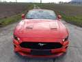 Ford Mustang Convertible 5.0 Ti-VCT V8 Aut. GT Premium Rojo - thumbnail 17