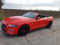 Ford Mustang Convertible 5.0 Ti-VCT V8 Aut. GT Premium Rot - thumbnail 20