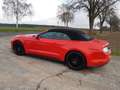 Ford Mustang Convertible 5.0 Ti-VCT V8 Aut. GT Premium Rojo - thumbnail 7