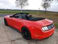 Ford Mustang Convertible 5.0 Ti-VCT V8 Aut. GT Premium Rojo - thumbnail 22