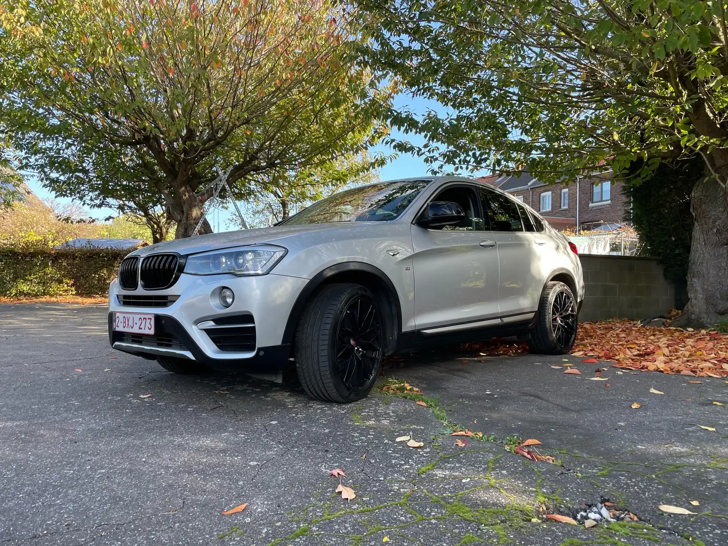 BMW X4 2.0 dA xDrive20 Gris - 1