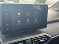 Dacia Sandero Sandero Streetway  Streetway 1.0 tce Comfort 90cv Blauw - thumbnail 9
