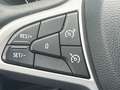 Dacia Sandero Sandero Streetway  Streetway 1.0 tce Comfort 90cv Blauw - thumbnail 13