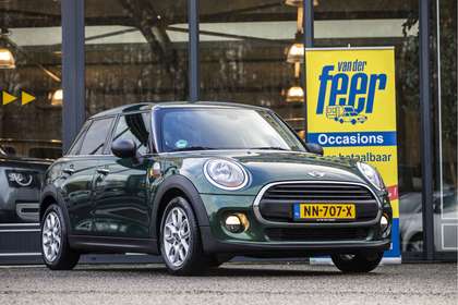 MINI One D Mini 1.5 Salt Business