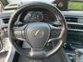 Lexus UX 250h Launch Edition Dachträger*Navi*KAM*DAB Weiß - thumbnail 13