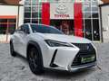 Lexus UX 250h Launch Edition Dachträger*Navi*KAM*DAB Weiß - thumbnail 8