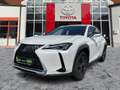Lexus UX 250h Launch Edition Dachträger*Navi*KAM*DAB Weiß - thumbnail 2