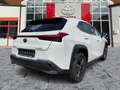Lexus UX 250h Launch Edition Dachträger*Navi*KAM*DAB Weiß - thumbnail 7