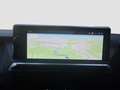 Peugeot Traveller Traveller PREMIUM L2 BHDI 180 EAT8 2,0 Schwarz - thumbnail 13
