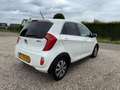 Kia Picanto 1.0 CVVT ISG R-Cross n293/500 5Deurs | Airco | LM Blanc - thumbnail 3