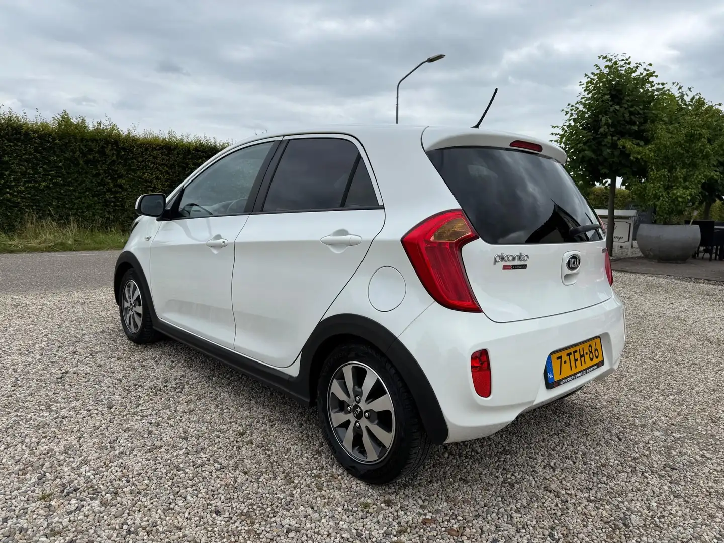 Kia Picanto 1.0 CVVT ISG R-Cross n293/500 5Deurs | Airco | LM Blanc - 2