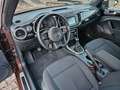 Volkswagen Beetle Cabriolet Sound NAVI   PDC ALU  1 Hand Brown - thumbnail 10